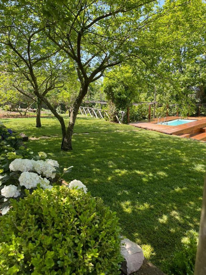 Villa Spartano Sant'Agata Sui Due Golfi Massalubrense Massa Lubrense Extérieur photo